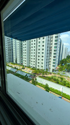 Blk 101D Punggol Field (Punggol), HDB 4 Rooms #472416631